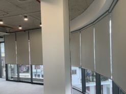 Rèm cuốn trơn văn phòng đẹp giá rẻ